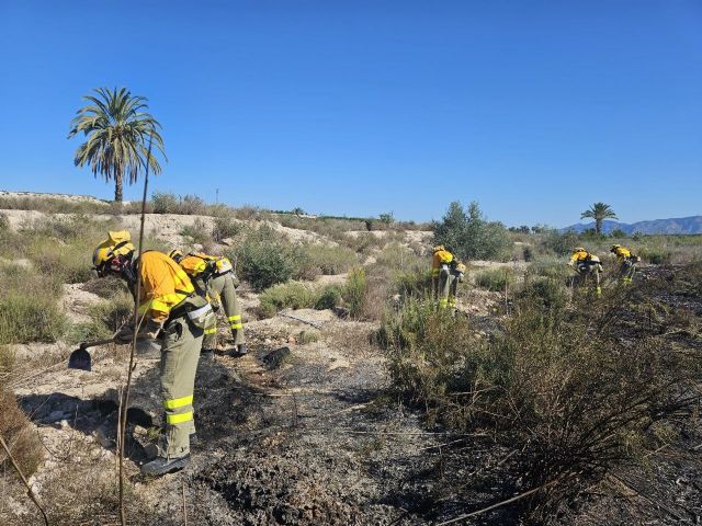 Incendio de cañas y matorral en la RM-414, Abanilla