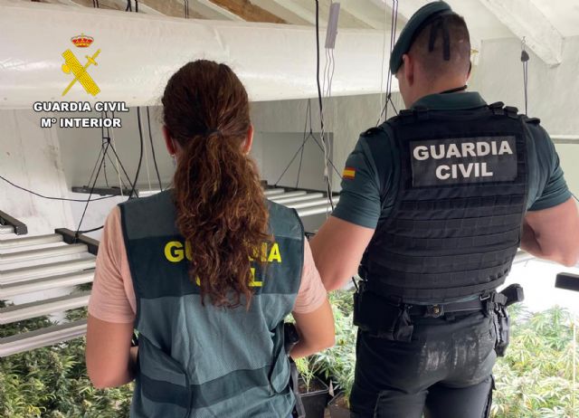 Desmantelan en Abanilla un grupo delictivo que cultivaba gran cantidad de marihuana