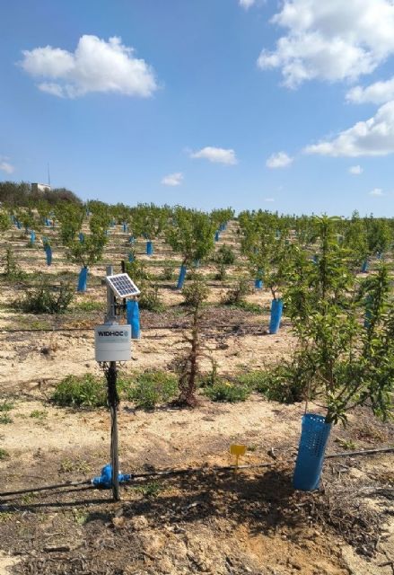 La Comunidad impulsa la mejora del regadío en Abanilla con un sistema de monitorización en tiempo real
