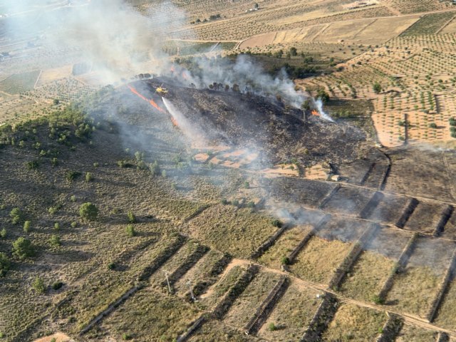 Incendio forestal en Cañada de la Leña (Abanilla)