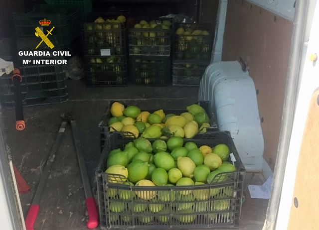 La Guardia Civil esclarece la sustracción de dos toneladas de limón con nueve detenidos