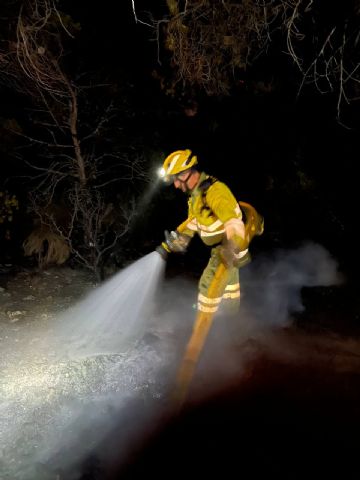 Dan por extinguido el incendio de la Fuente del Algarrobo, en Barinas, Abanilla