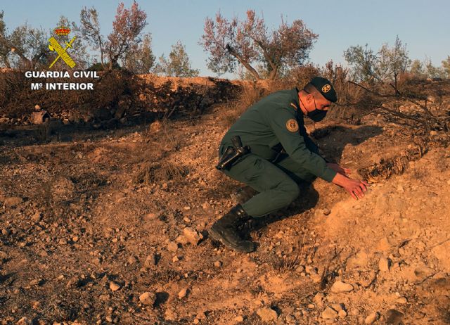 La Guardia Civil investiga a una persona  por originar un incendio forestal en Barinas-Abanilla