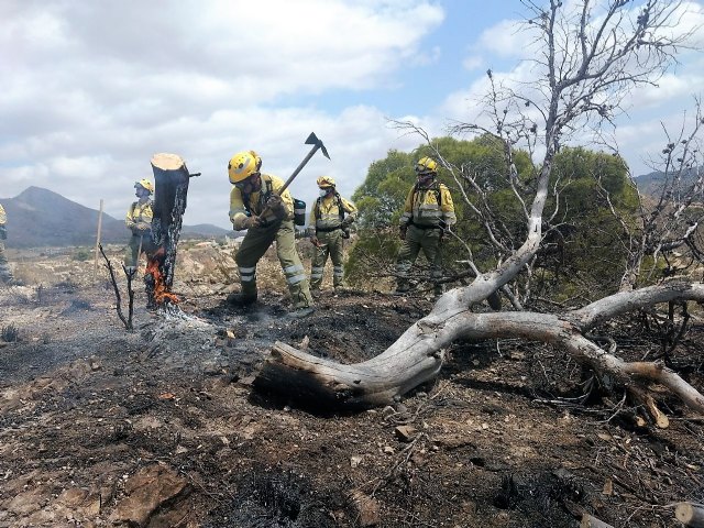 Operativo del Infomur controla incendio forestal en Macisvenda (Abanilla)