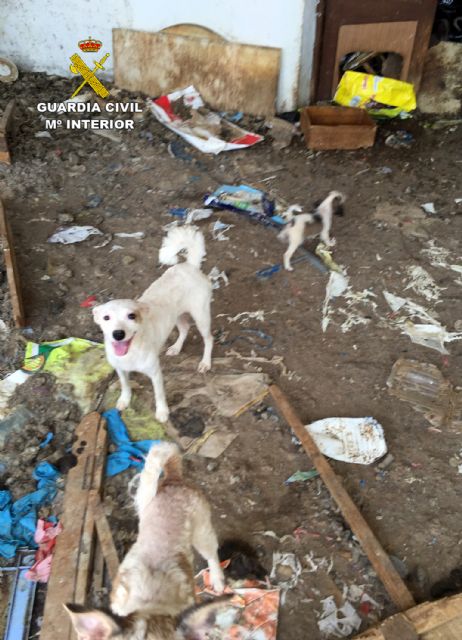 La Guardia Civil investiga a una vecina de Abanilla por delito de maltrato animal